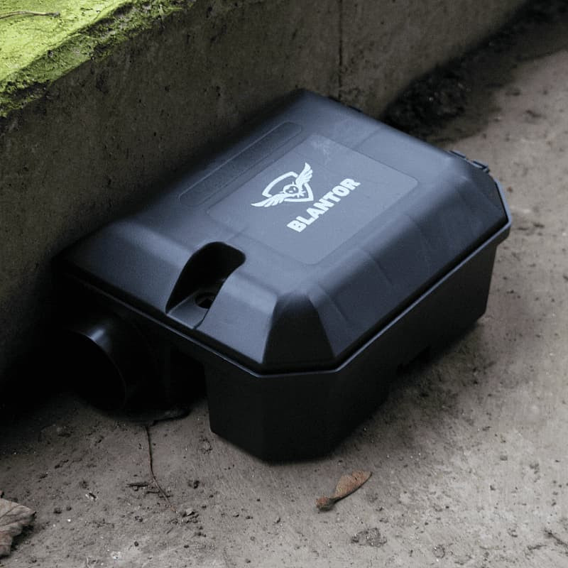Boîte à rat extérieur