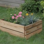 Piege pour processionnaire du pin : quel modèle choisir pour protéger votre jardin