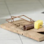 Tapette à rat