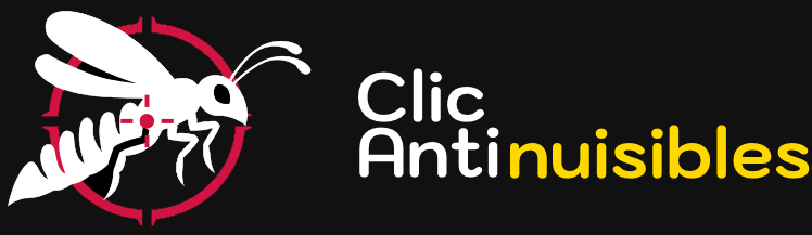 logo3