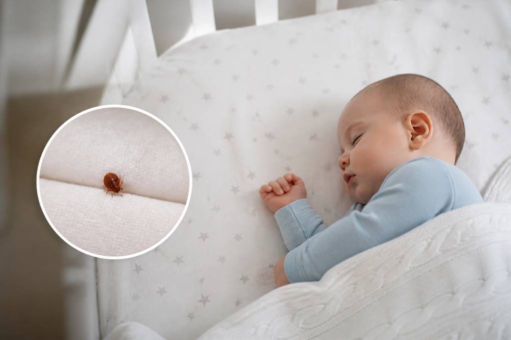Punaise de lit bebe : signes, risques et solutions pour protéger votre nourrisson