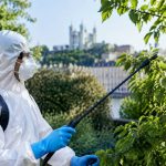Pourquoi faire appel à une entreprise spécialisée à Lyon contre les chenilles