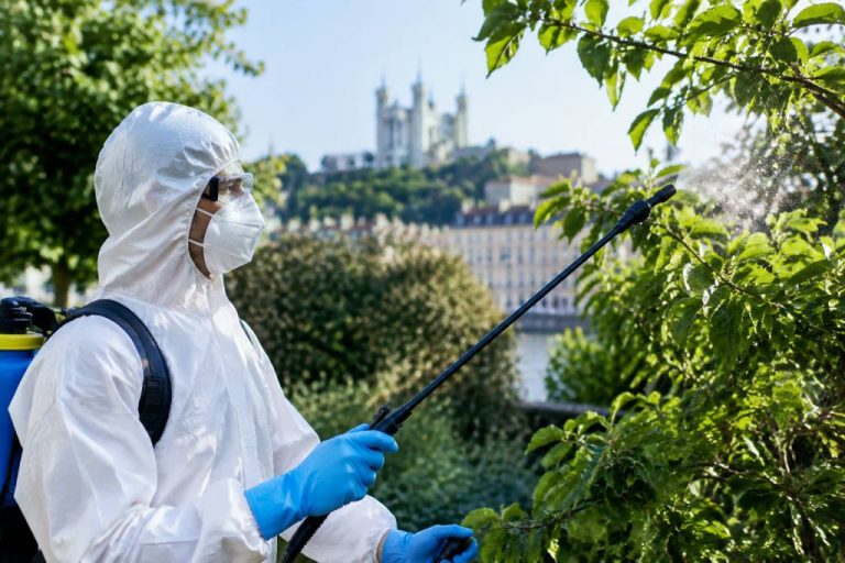 Pourquoi faire appel à une entreprise spécialisée à Lyon contre les chenilles